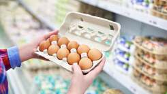 eggs in grocery store