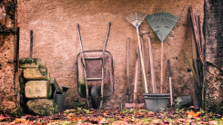 Garden tools and wheelbarrow leaning on wall