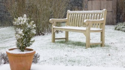 Garden in winter