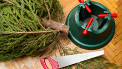 tree, stand, and saw