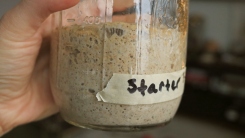 A hand holding a mason jar labeled "starter' with sourdough starter inside.