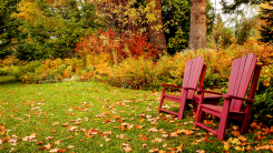 lawn in fall