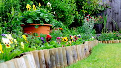 wooden garden edging around colorful flowers in a yard
