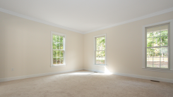 empty living room with bright natural light coming through windows