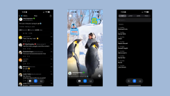 Bluesky videos running on Bluescreen