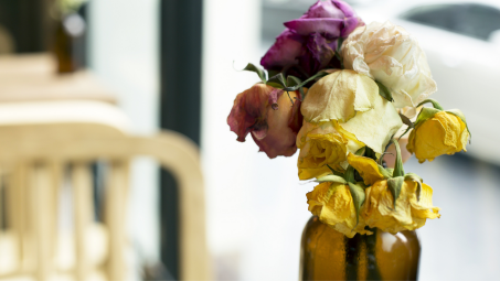 Wilting flowers