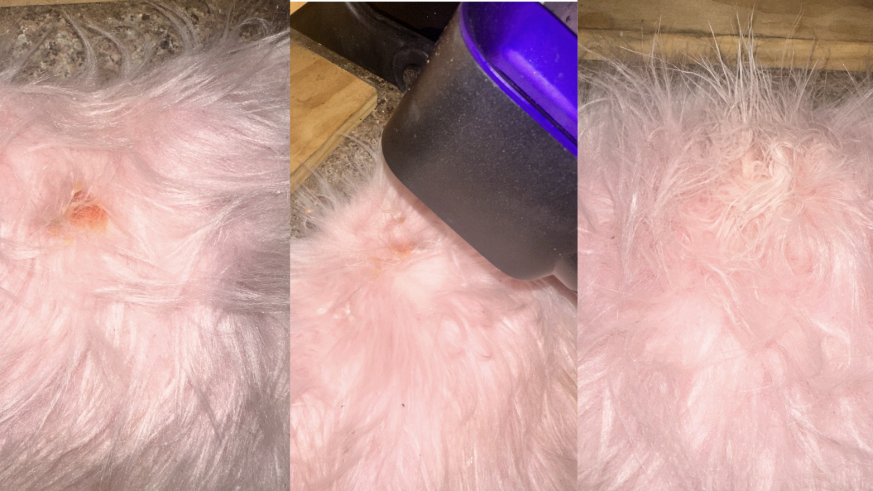 Blow drying a wax stain